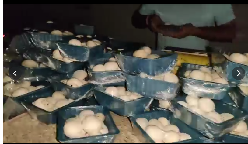  MUSHROOM FARM SETUP FOR SALE IN JAIPUR slider image